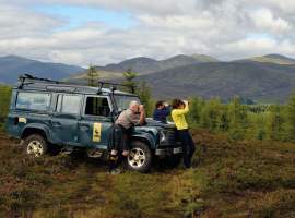 4×4 Forrest Safari Experience from Aberfeldy in Perthshire